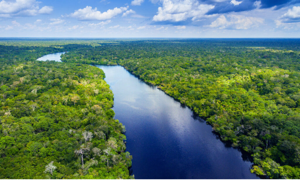 Dia da Amazônia – O impacto das mudanças climáticas sobre o bioma