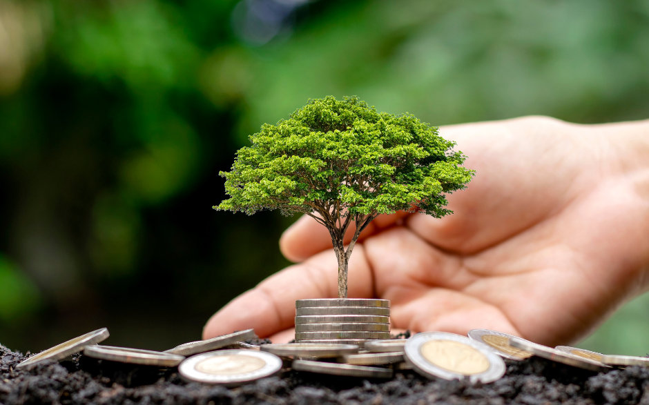 Mercado de carbono: o que é, como funciona e por que sua empresa deve se preparar