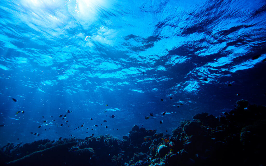 Tratado do Alto-Mar: acordo global entra em vigor com novas regras para a proteção dos oceanos